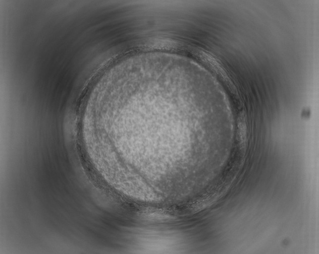 X0000116780534201001281216