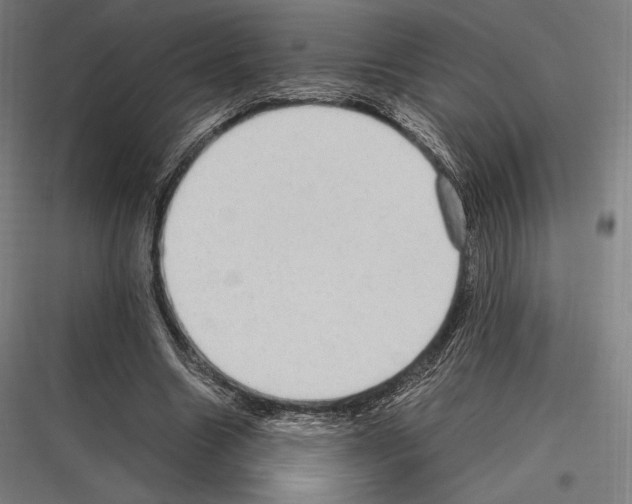 X0000116780538201001281216