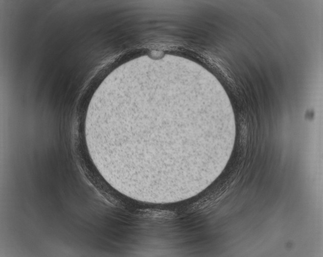 X0000116780539201001281216