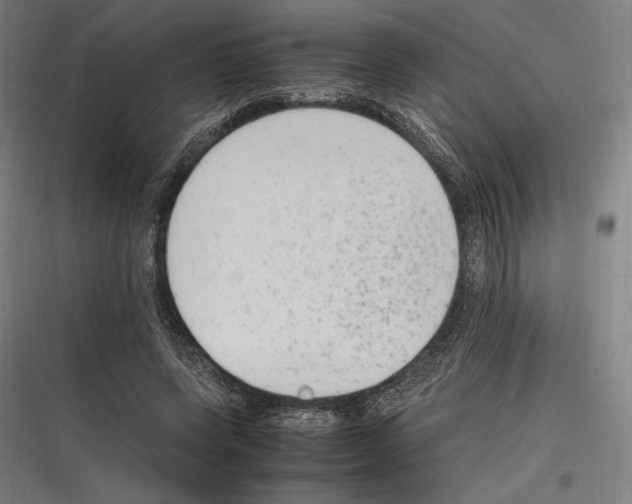 X0000116780543201001281216