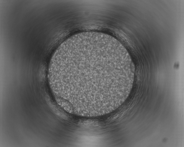 X0000116780546201001281216