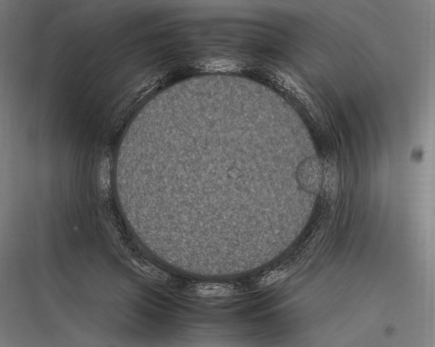 X0000116780549201001281216