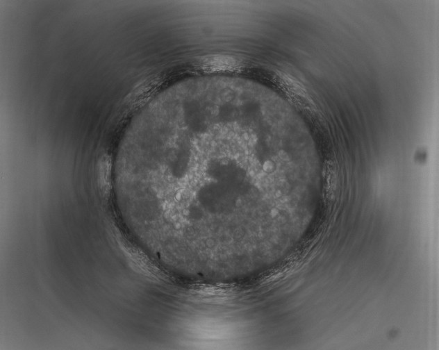 X0000116780550201001281216