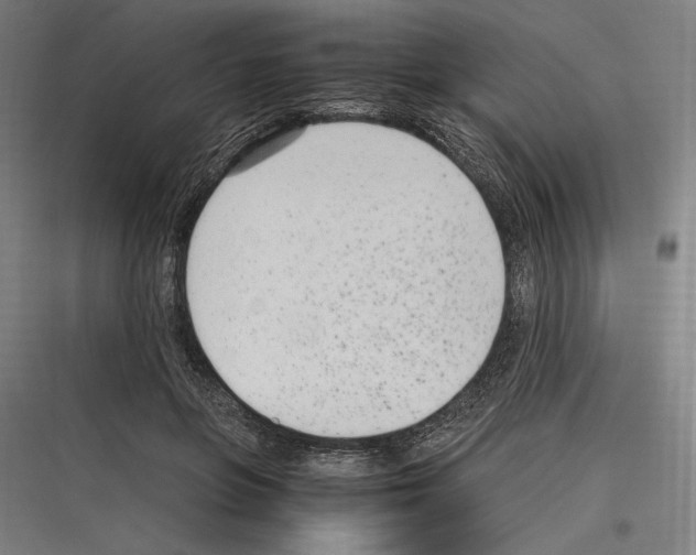 X0000116780551201001281216