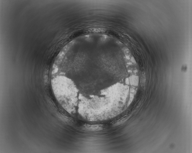 X0000116780553201001281217