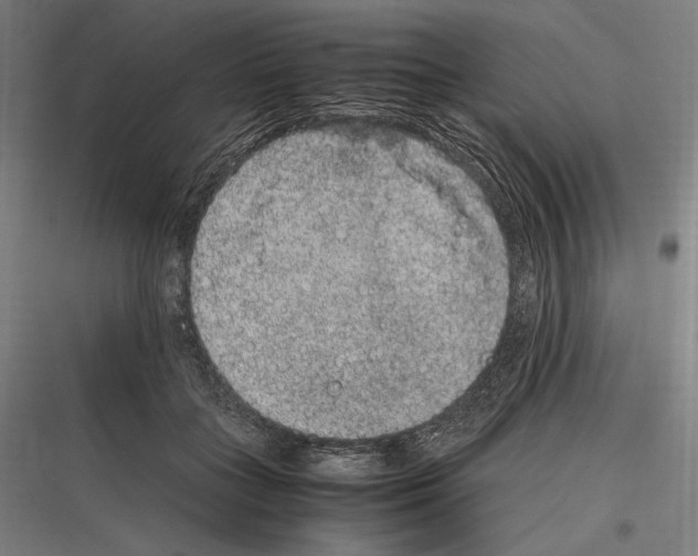 X0000116780555201001281217