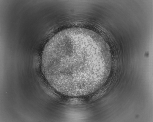 X0000116780558201001281217