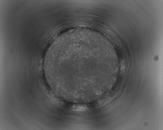 X0000116780559201001281217