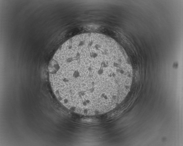 X0000116780561201001281217