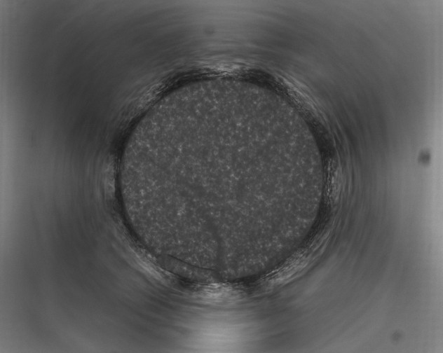 X0000116780562201001281217