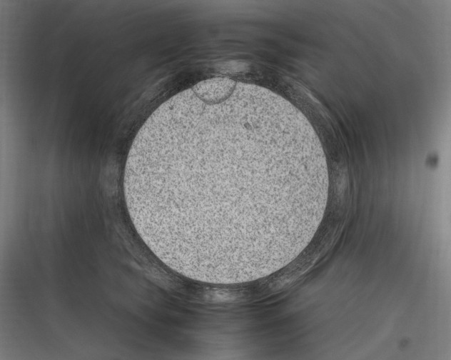 X0000116780565201001281217