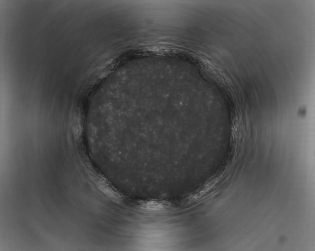 X0000116780566201001281217