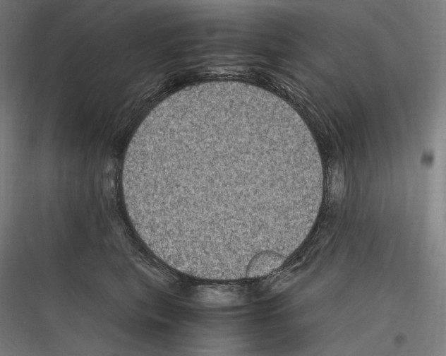 X0000116780567201001281217