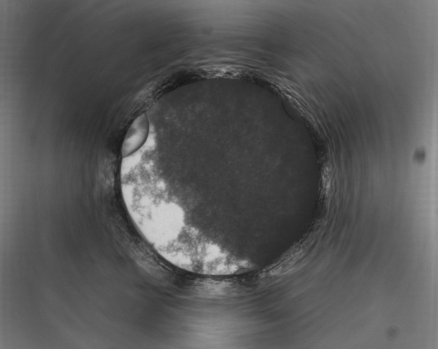 X0000116780570201001281217