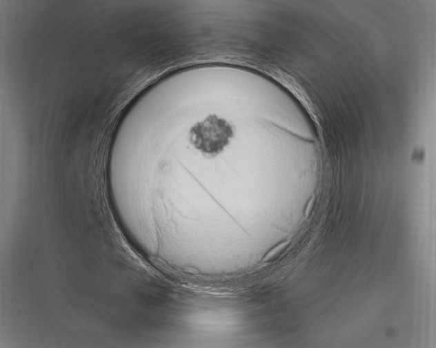 X0000116780577201001281216