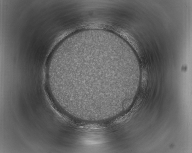 X0000116780578201001281216