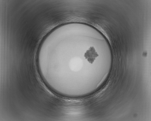 X0000116780581201001281216