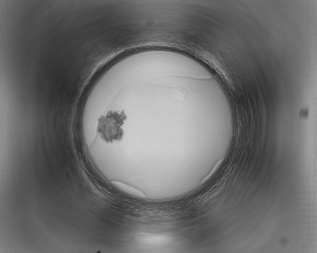 X0000116780588201001281216