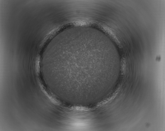 X0000116780590201001281216