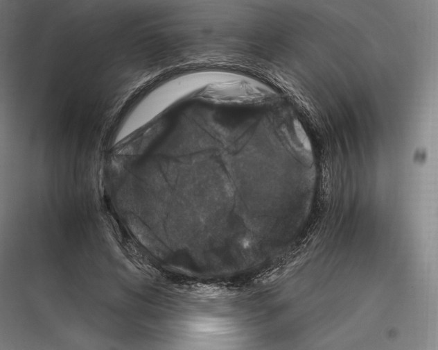 X0000116780592201001281216