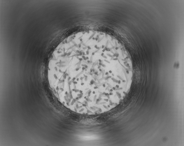 X0000116780594201001281216