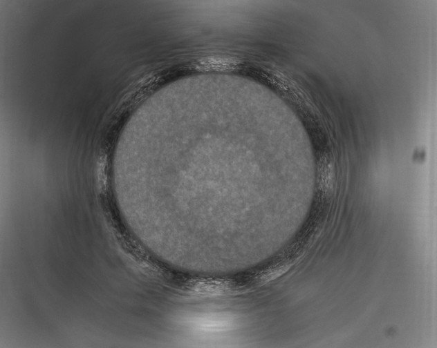 X0000116780599201001281216