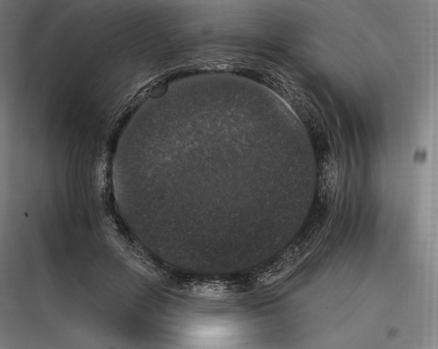 X0000116780600201001281216