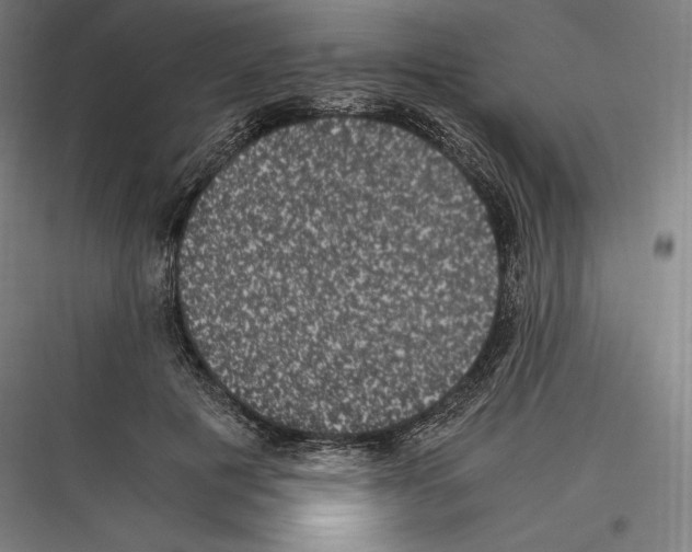 X0000116780601201001281216