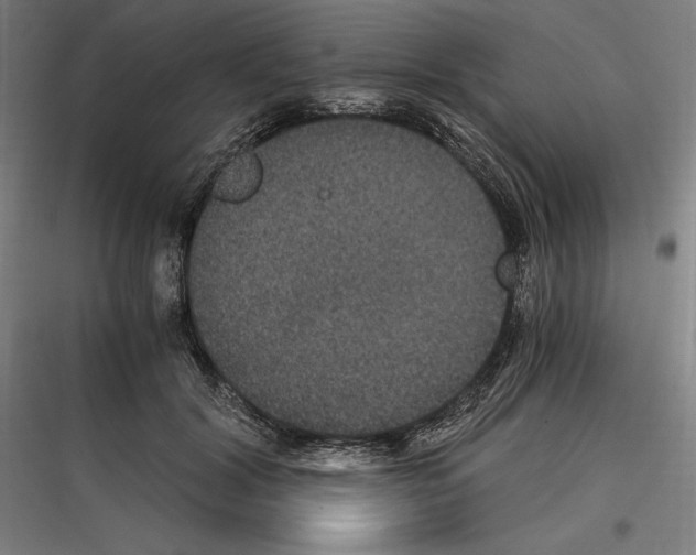 X0000116780604201001281216