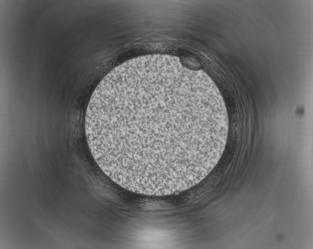 X0000116780605201001281216