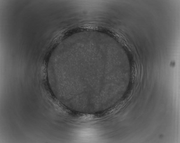 X0000116780609201001281216