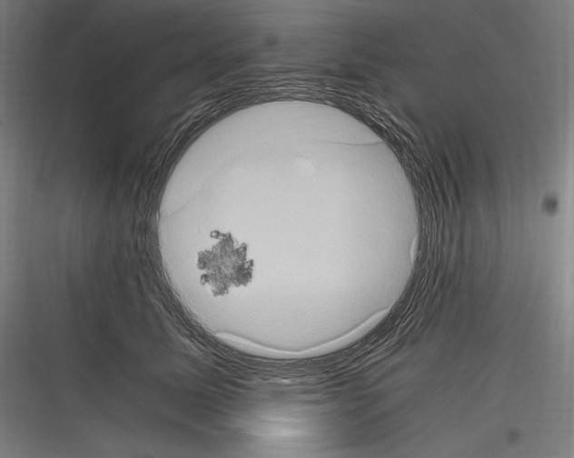 X0000116780611201001281216