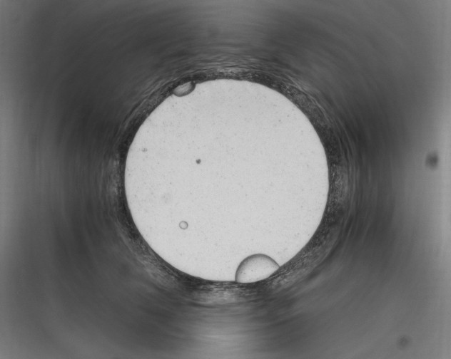 X0000116780612201001281216