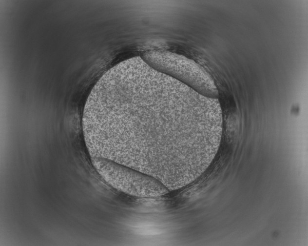 X0000116780617201001281216