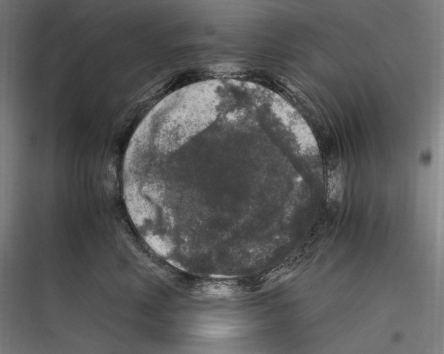 X0000116780618201001281216