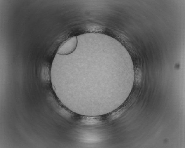 X0000116780622201001281216