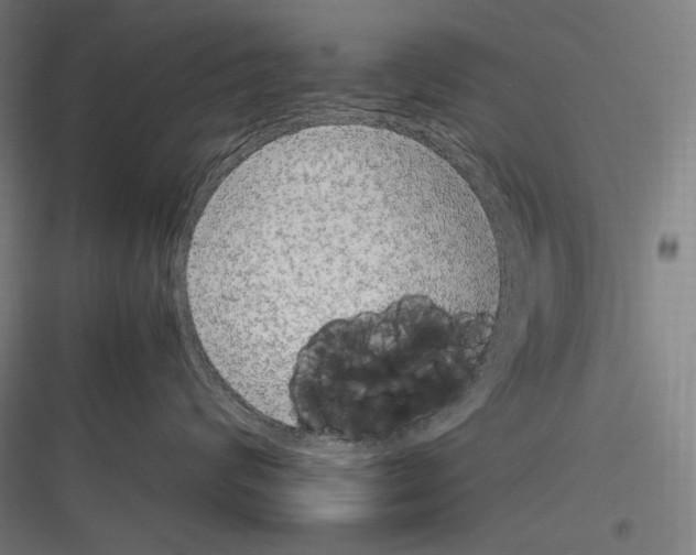 X0000116780624201001281216