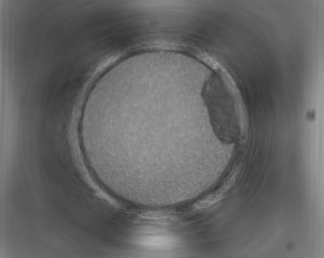 X0000116780625201001281215