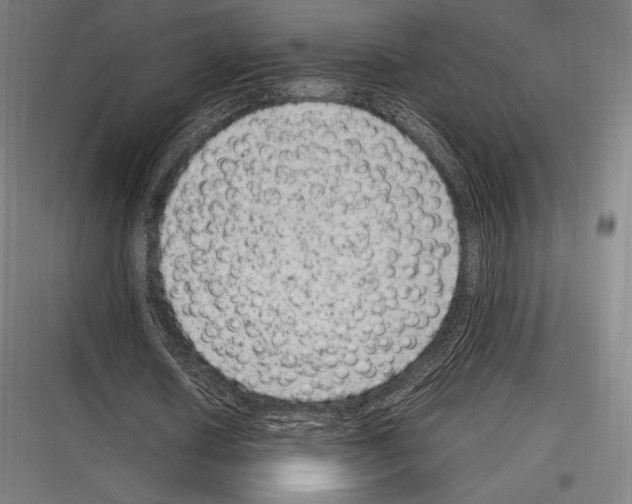 X0000116780626201001281215