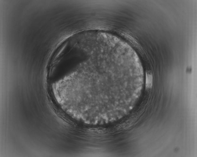 X0000116780627201001281215