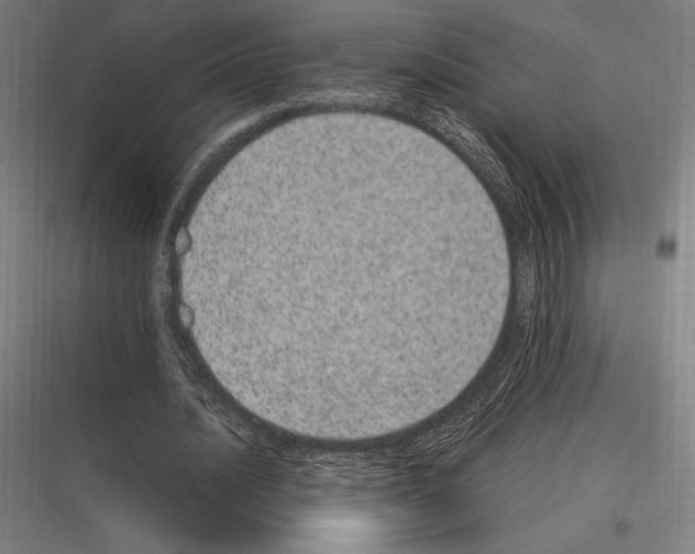 X0000116780628201001281215