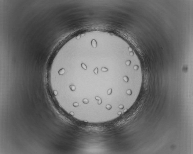 X0000116780629201001281215