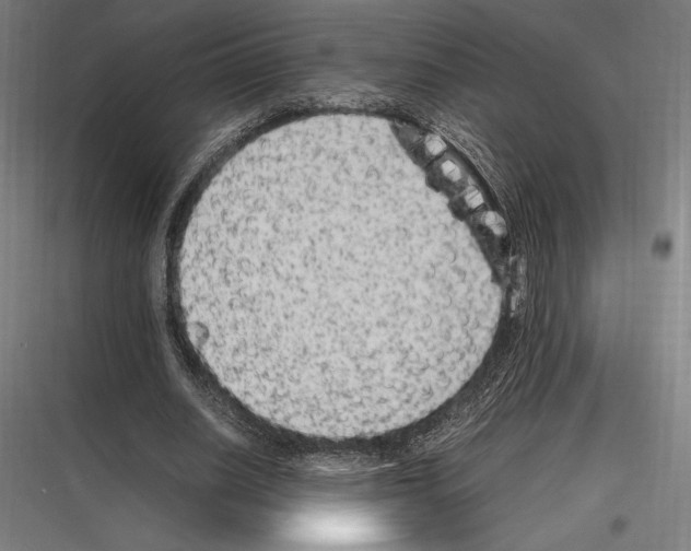 X0000116780630201001281215