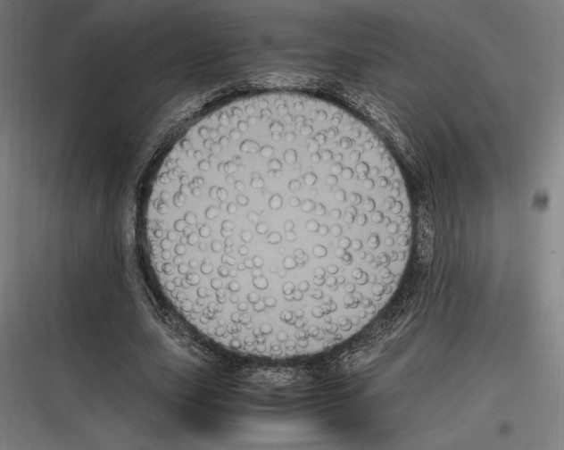 X0000116780631201001281215