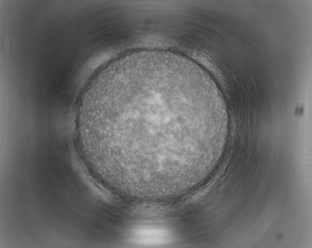 X0000116780632201001281215