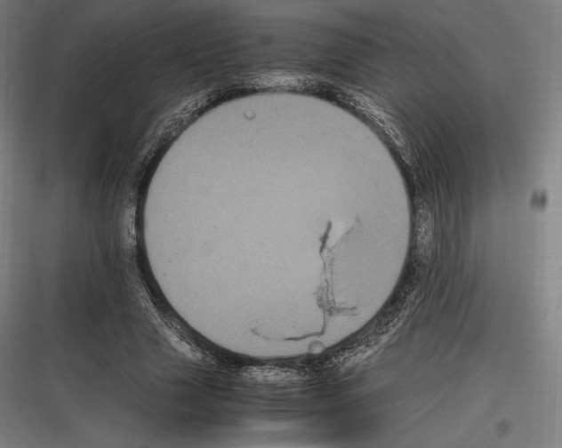 X0000116780633201001281215