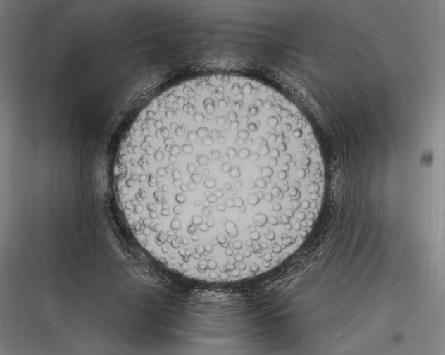 X0000116780635201001281215