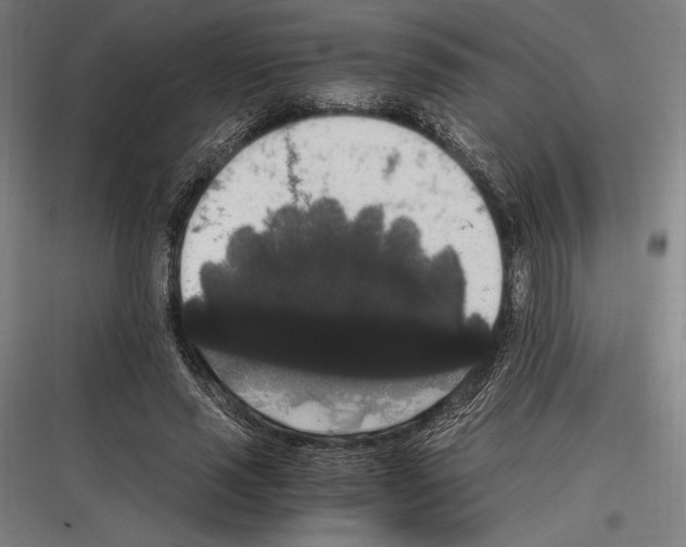 X0000116780637201001281215