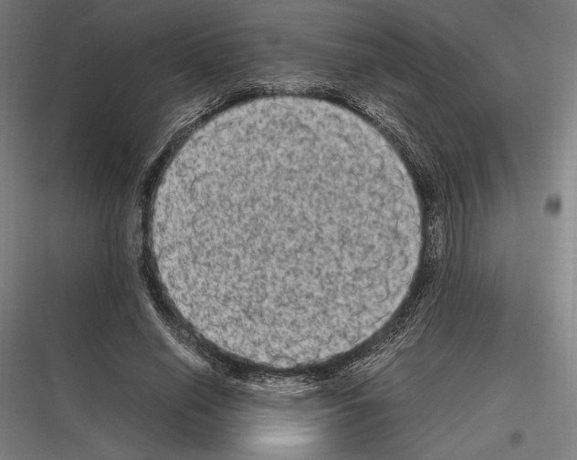 X0000116780638201001281215