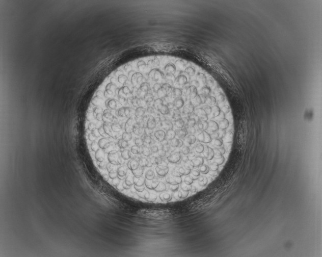 X0000116780639201001281215